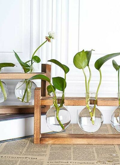 Horizontal Style Hydroponic Plant Glass Vase with Wooden Legs